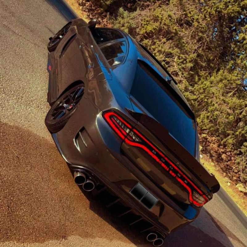 Charger 2015