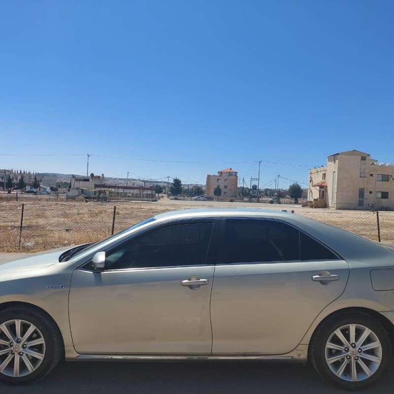 اربد شارع البترا