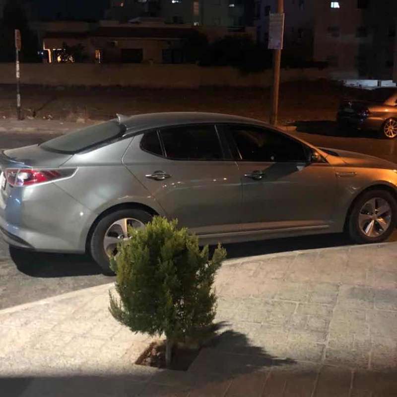 اربد