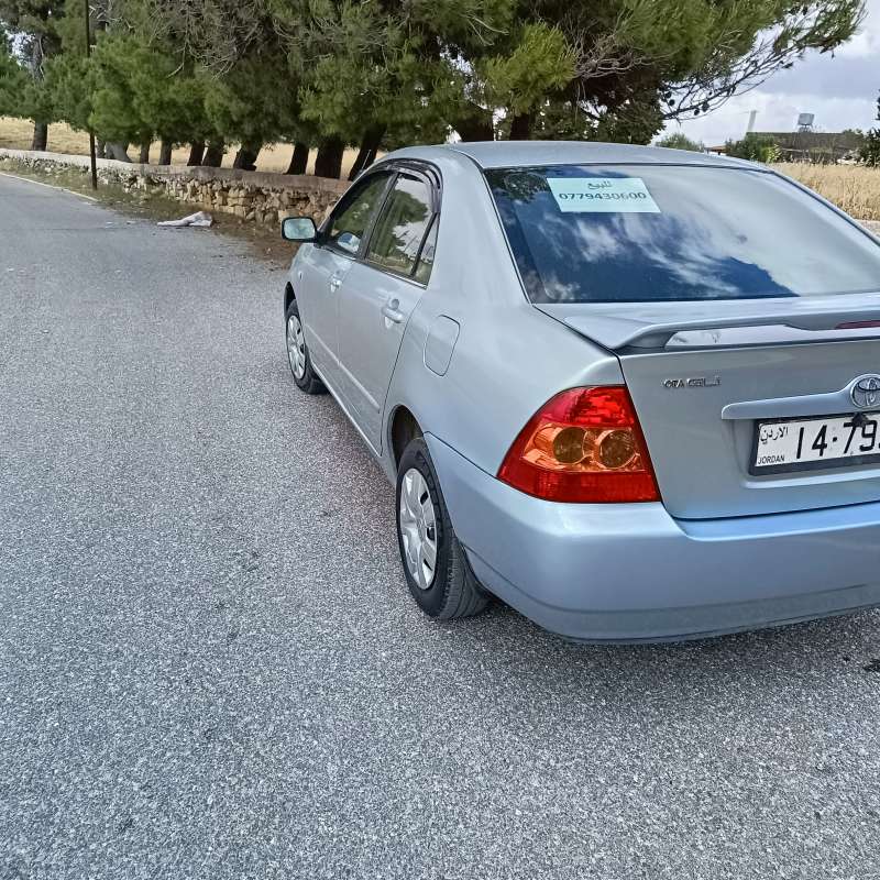 البلقاء 