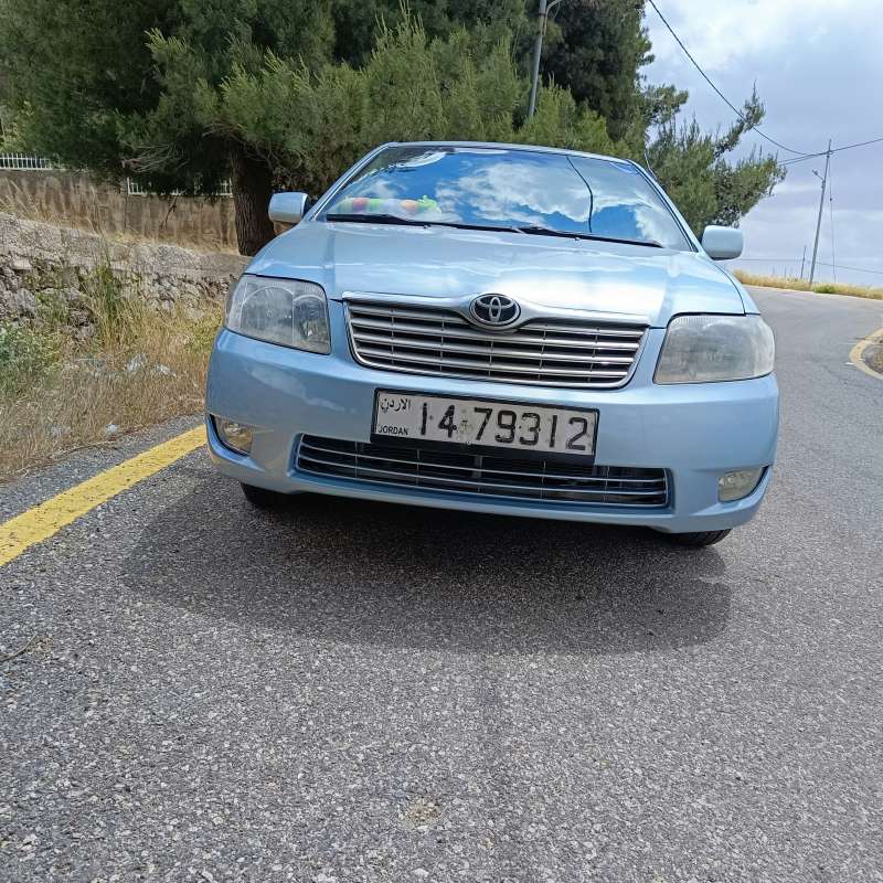 البلقاء 