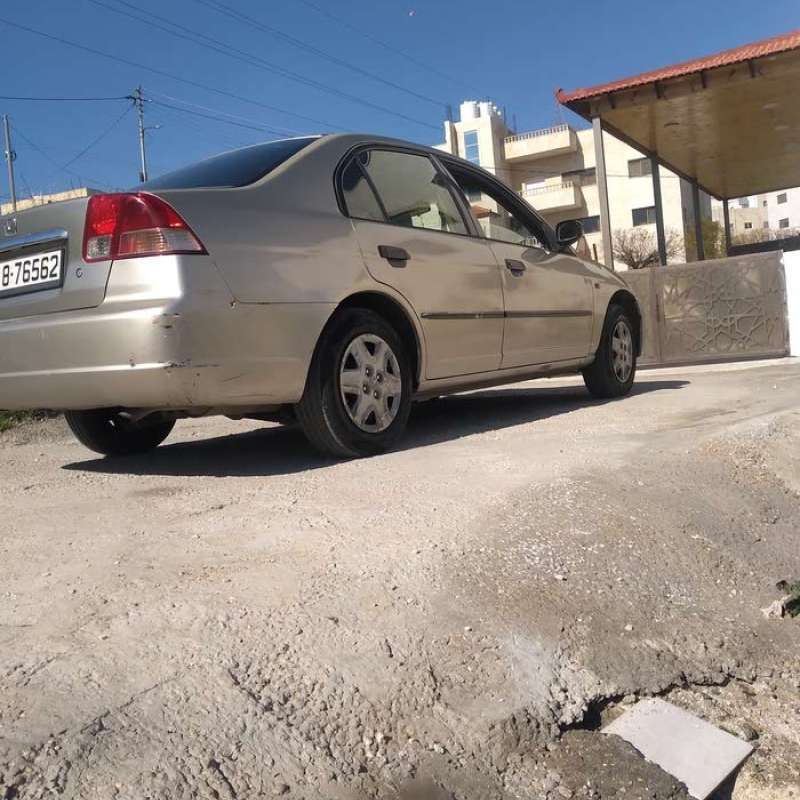 البيادر 