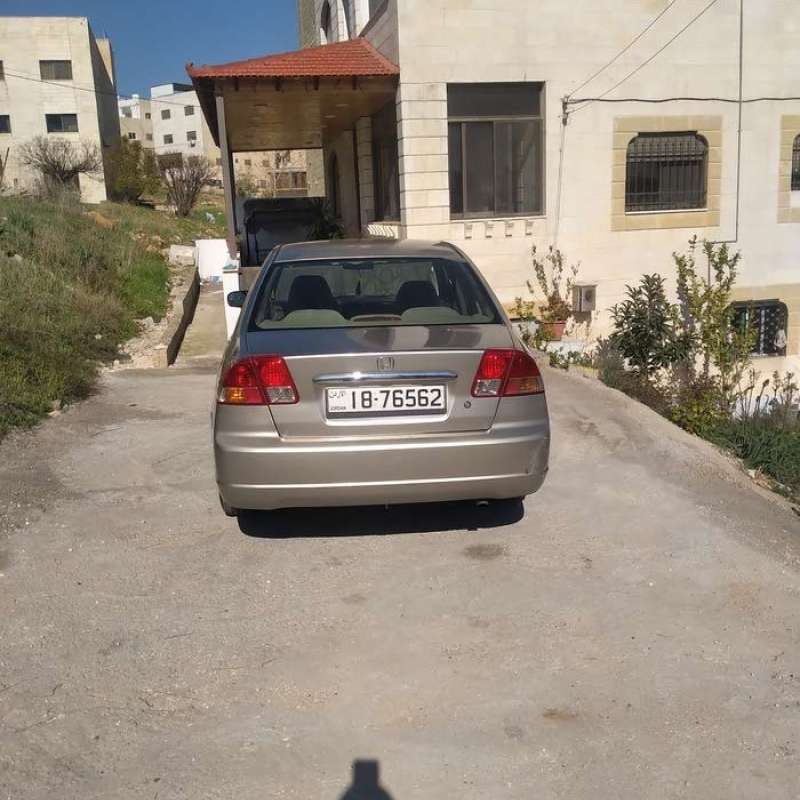 البيادر 