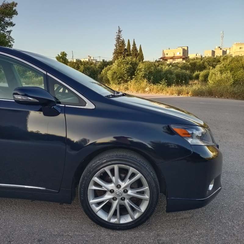 اربد بيت راس 