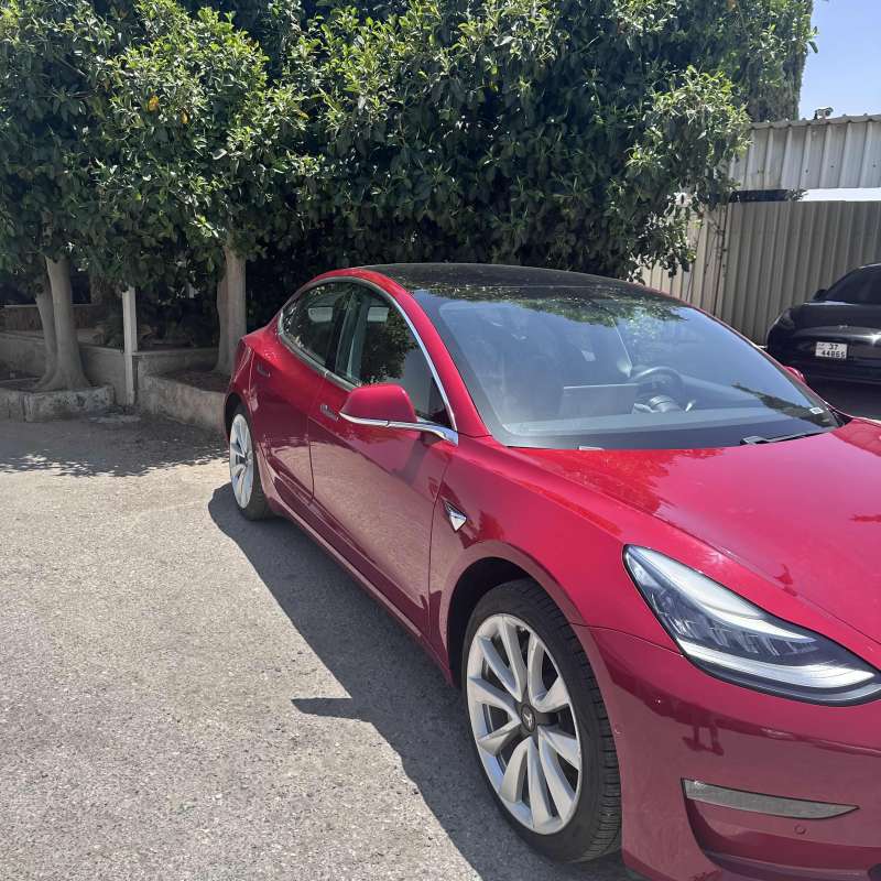 Model 3 (2019)