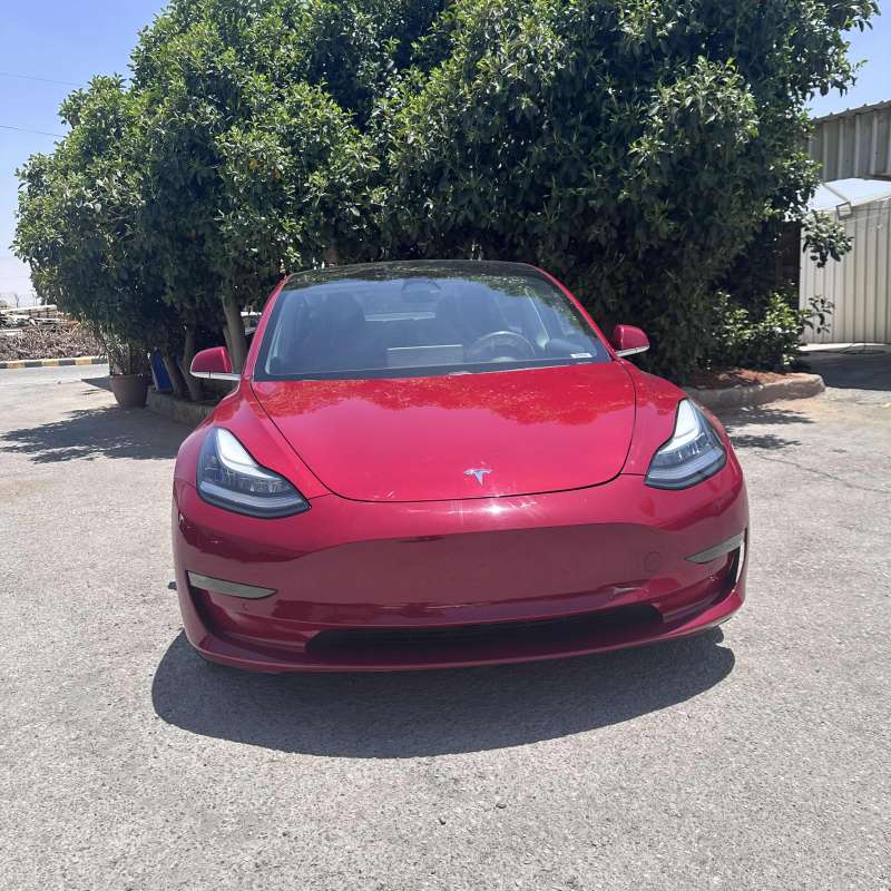 Model 3 (2019)