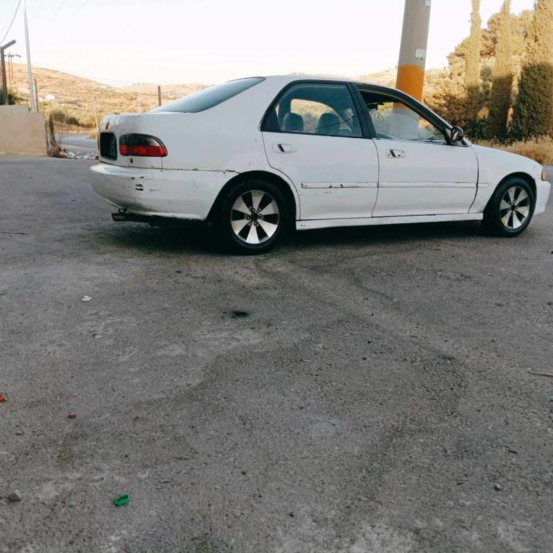 عمان شفا بدران 