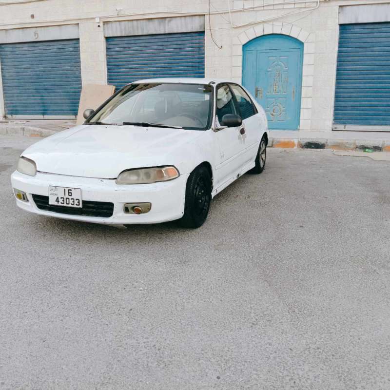 عمان شفا بدران 