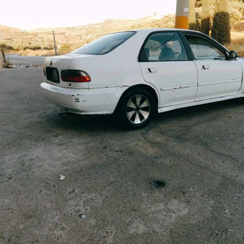 عمان شفا بدران 