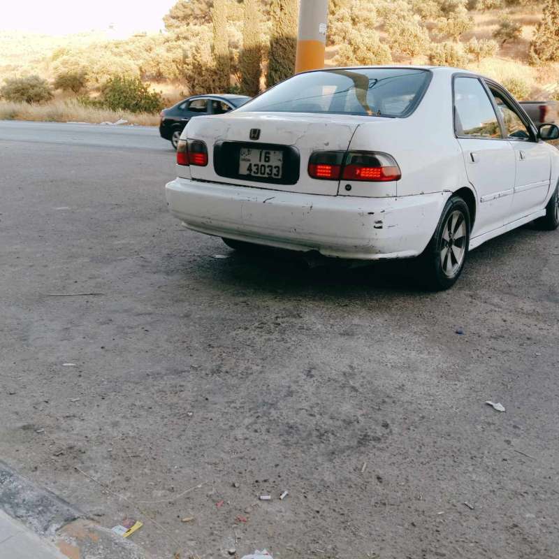 عمان شفا بدران 