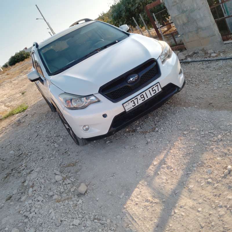 البيادر عمان 