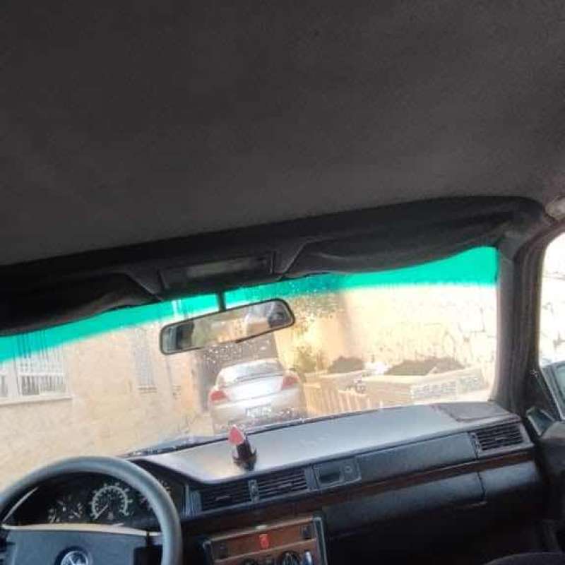 مارسيدس بطة