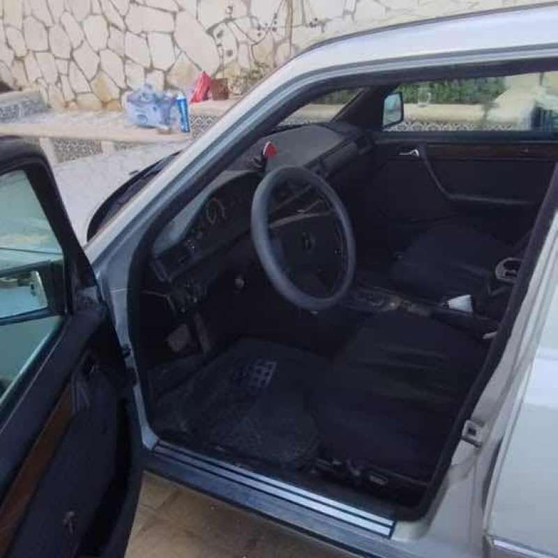 مارسيدس بطة