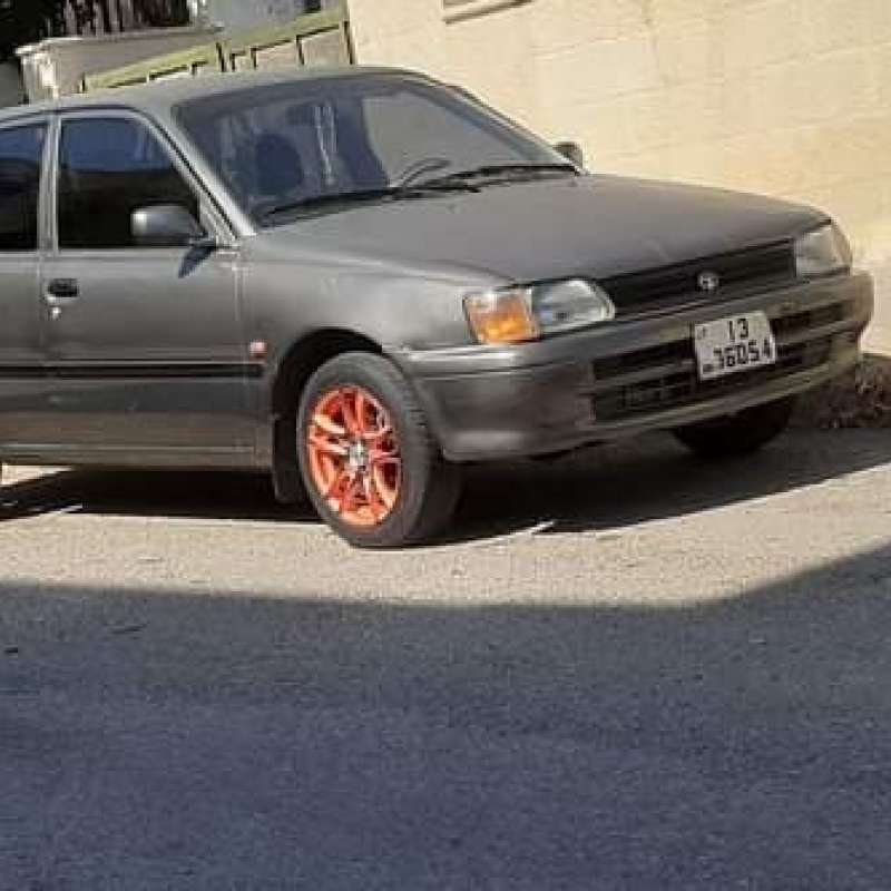 عمان ابونصير 
