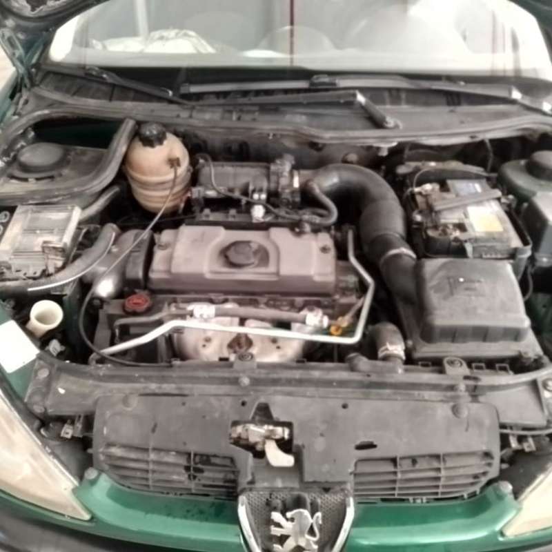 بيجو 206 لون اخضر 