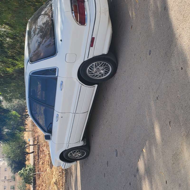 اربد الصريح 