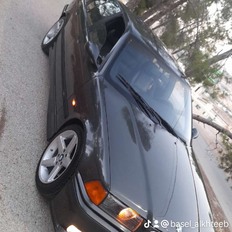 وطواط للبيع