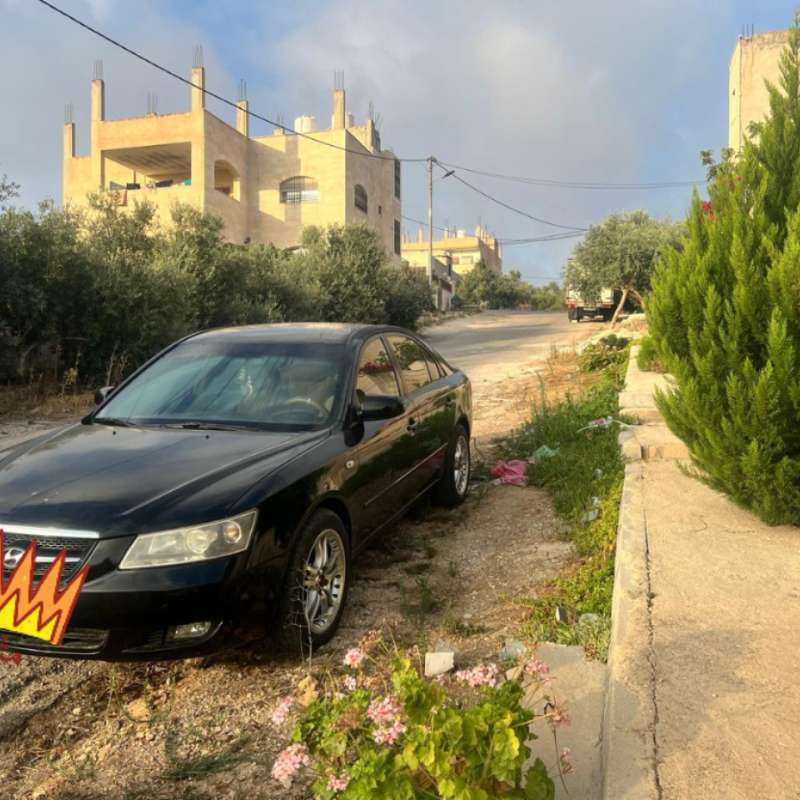 الزرقاء الجديدة 