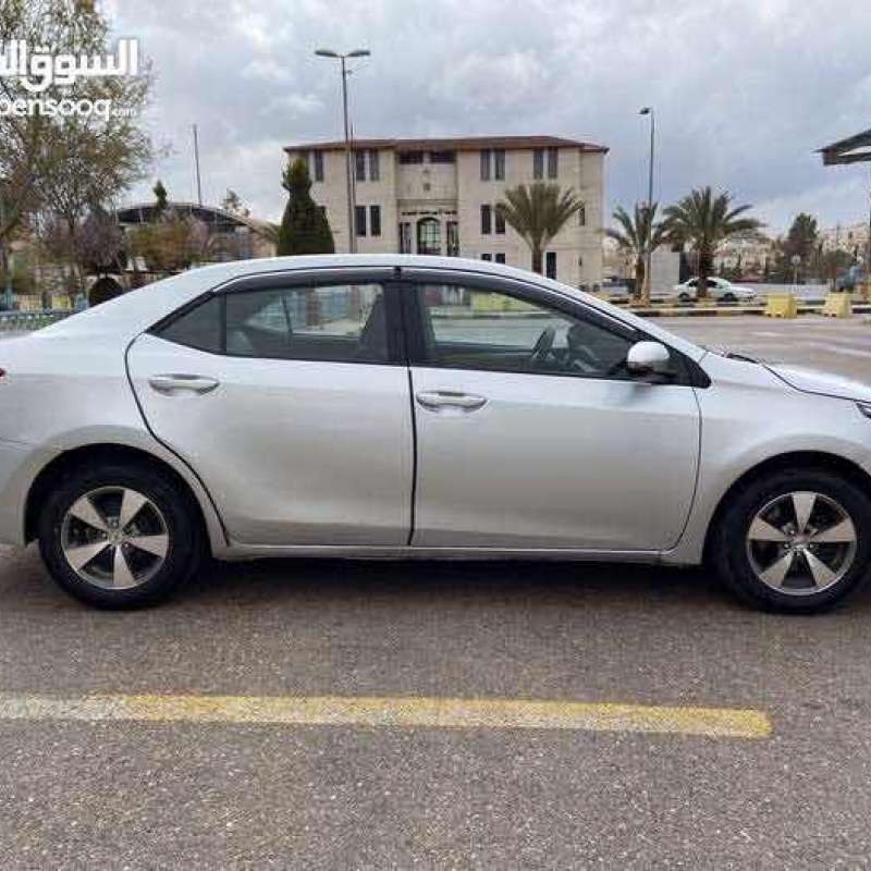 الزرقاء 