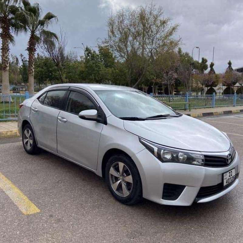 الزرقاء 