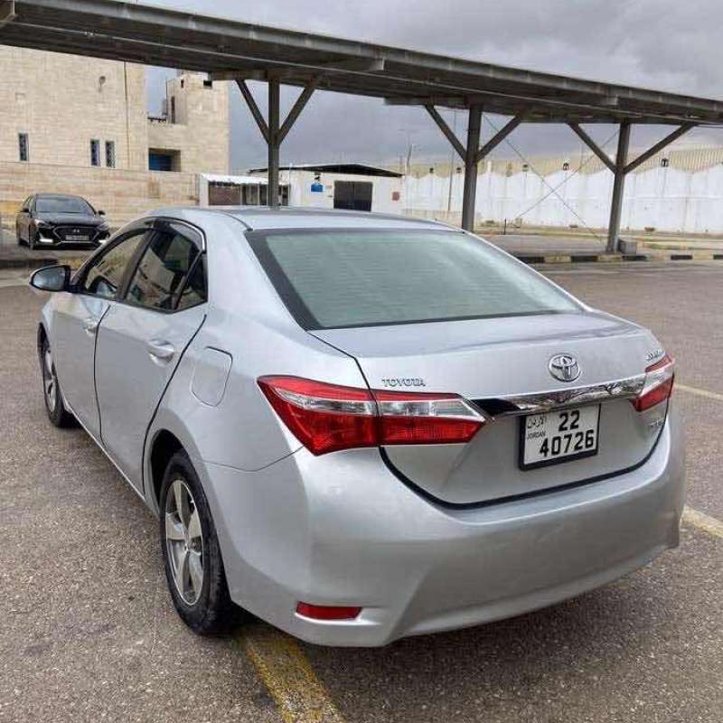 الزرقاء 