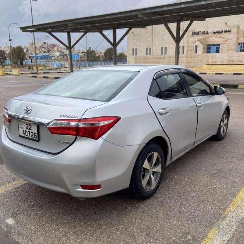 الزرقاء 