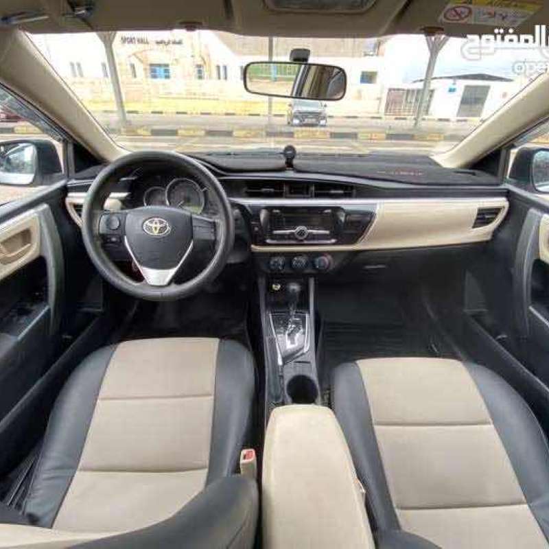 الزرقاء 