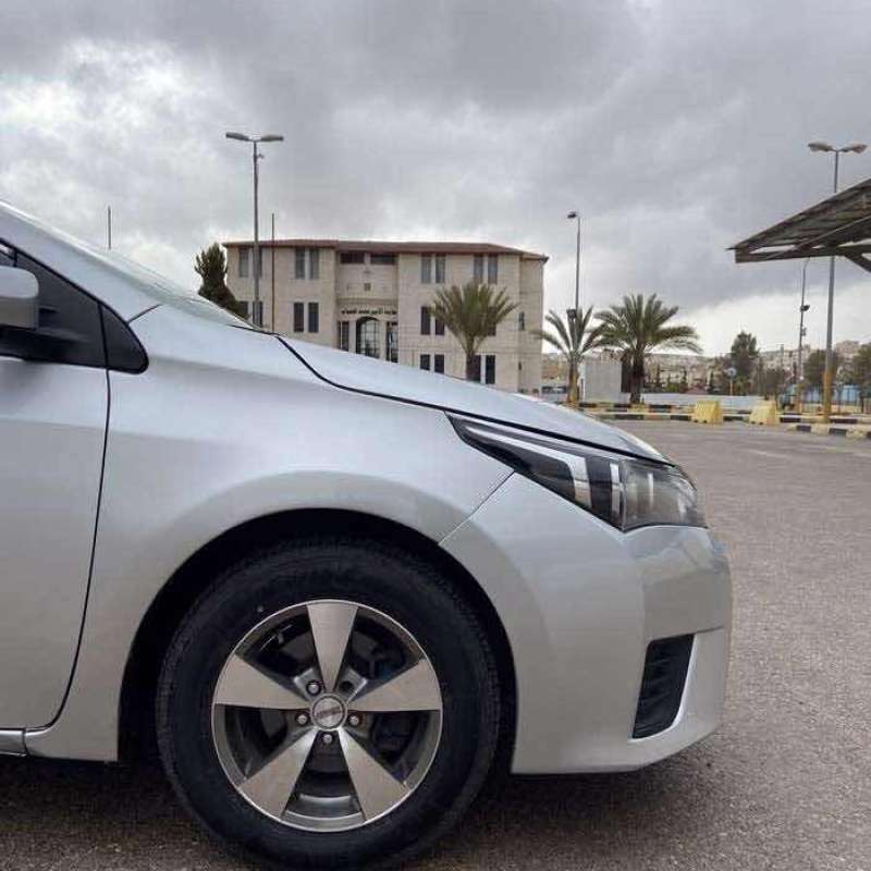 الزرقاء 