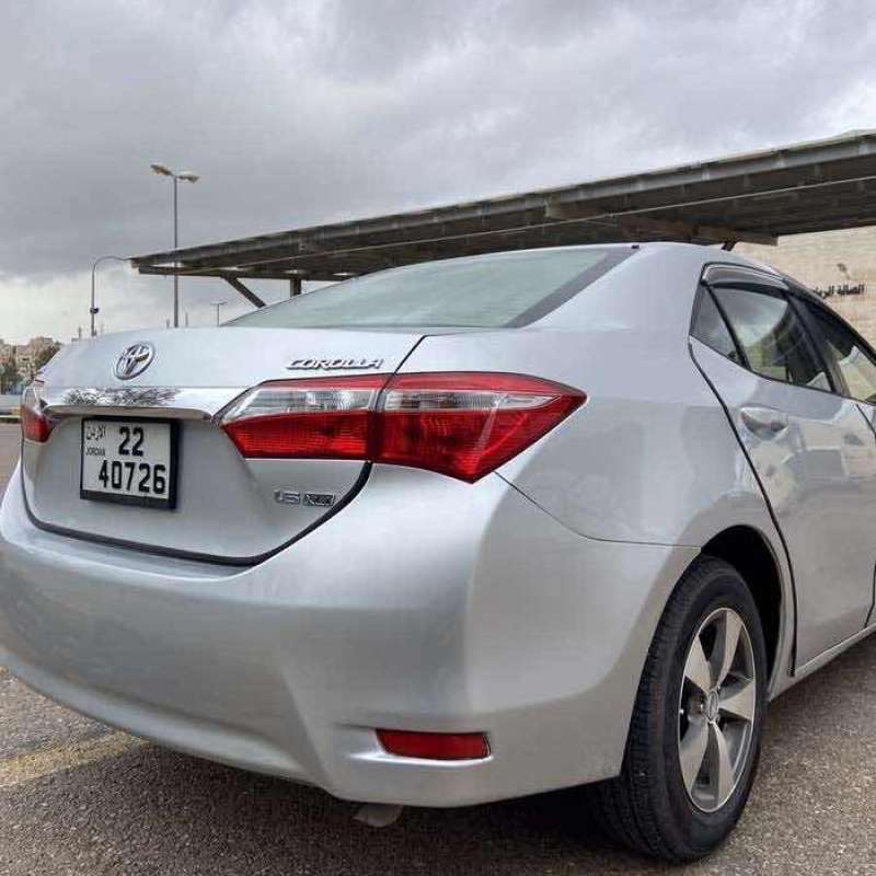 الزرقاء 
