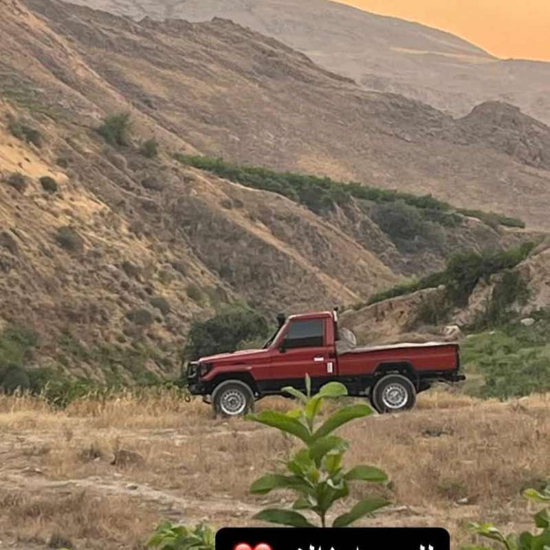 شاص للبيع