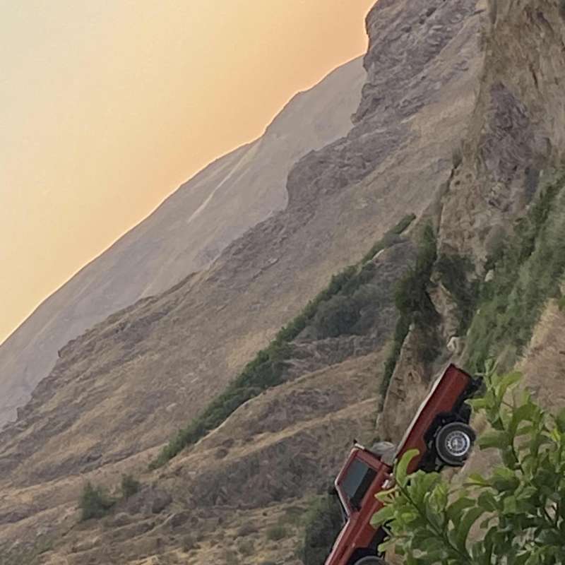 شاص للبيع
