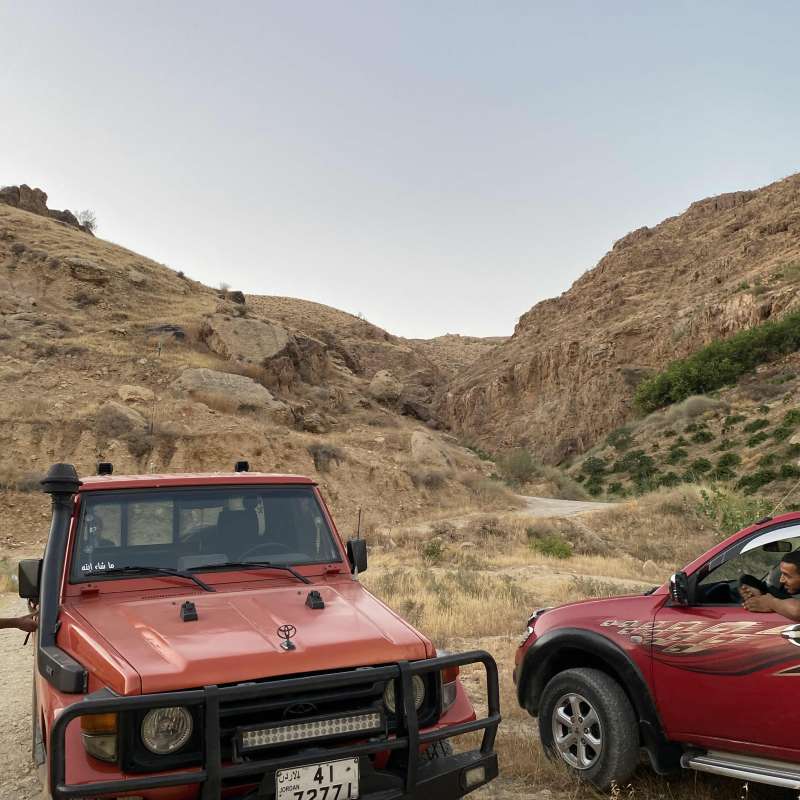 شاص للبيع
