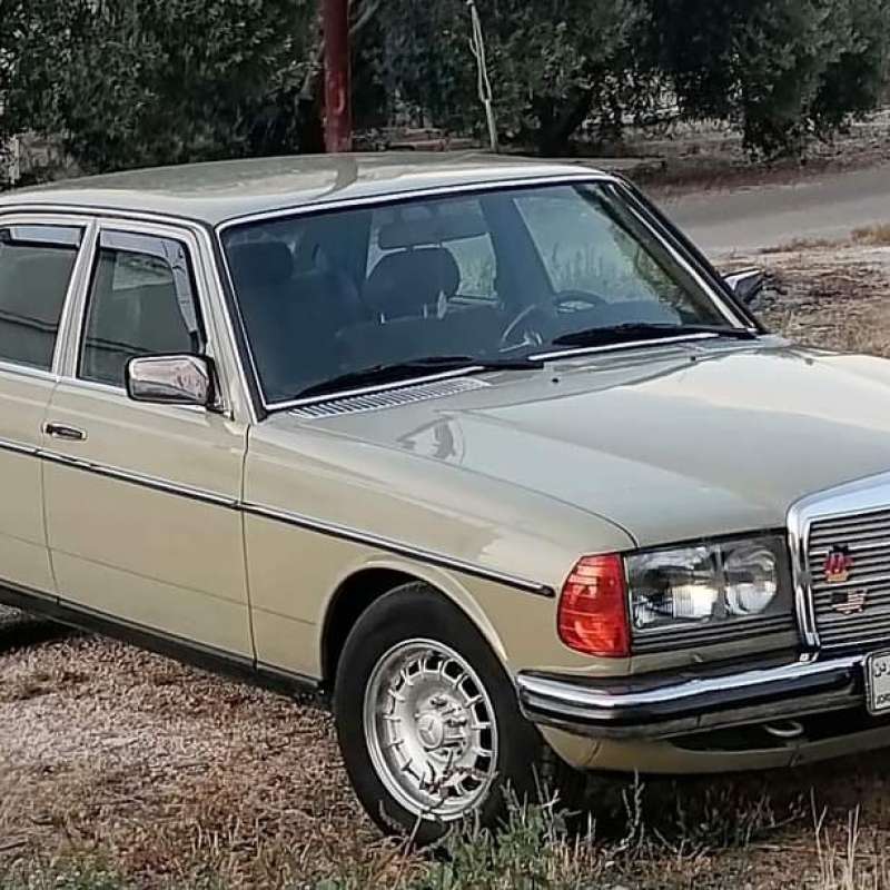 لف دهان الشركه