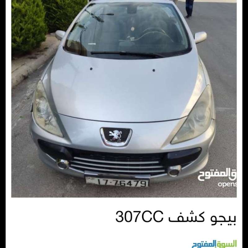 الرونق 