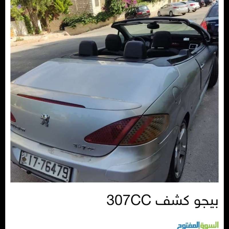 الرونق 