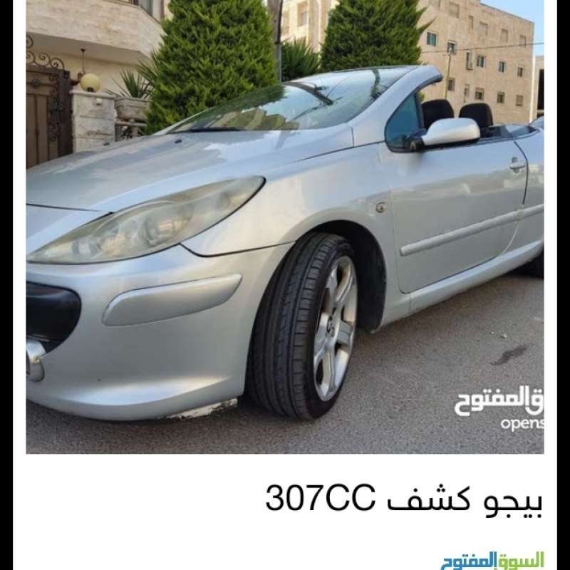 الرونق 