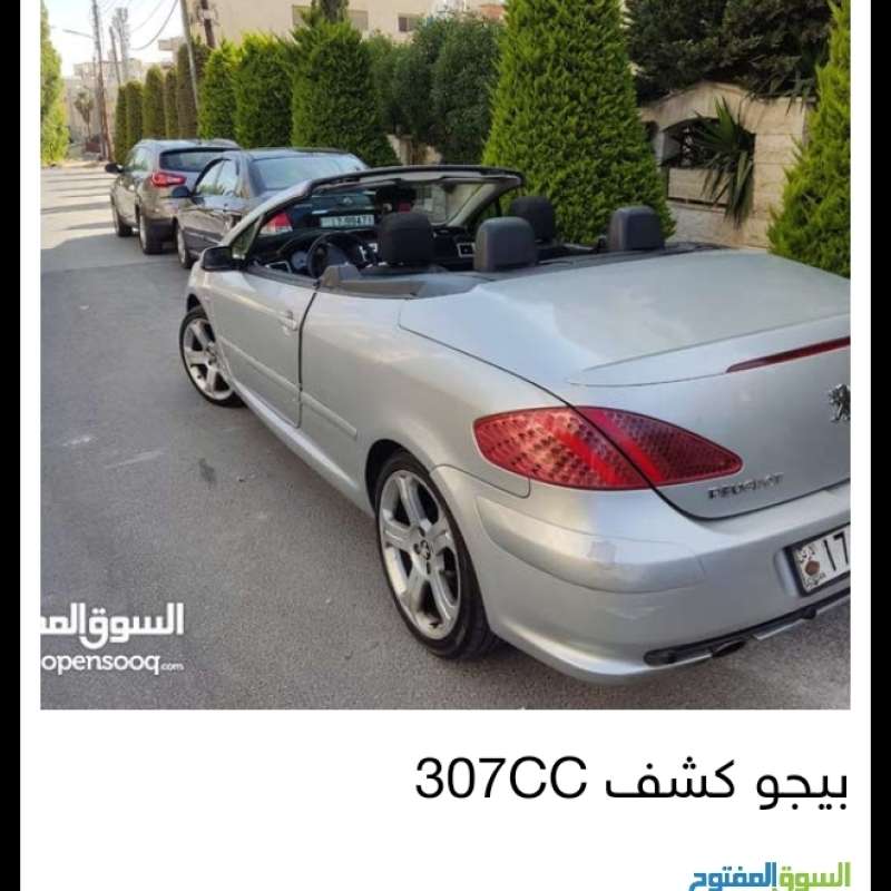 الرونق 