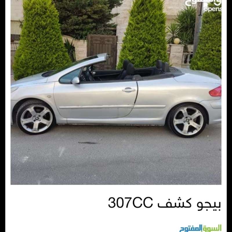الرونق 