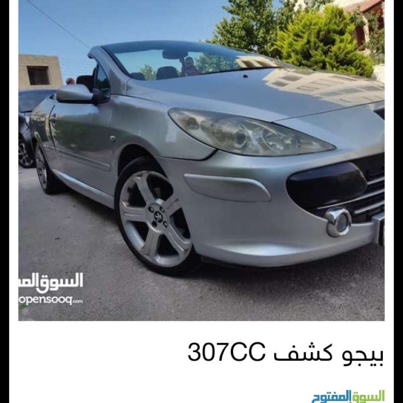 الرونق 