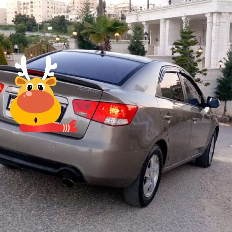اربد