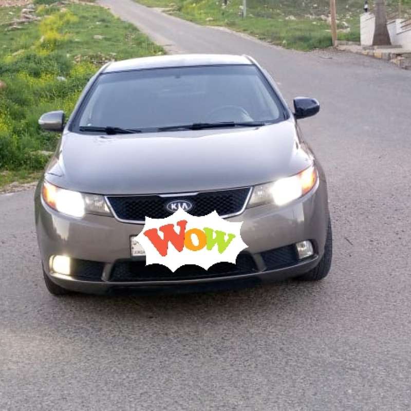 اربد