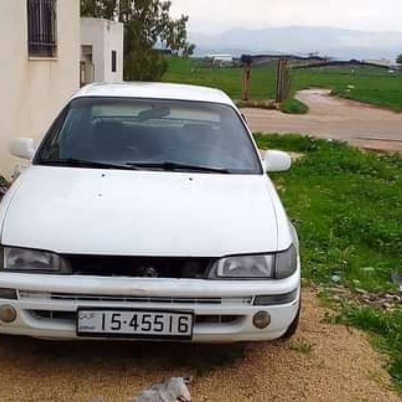 اربد الأغوار الشماليه