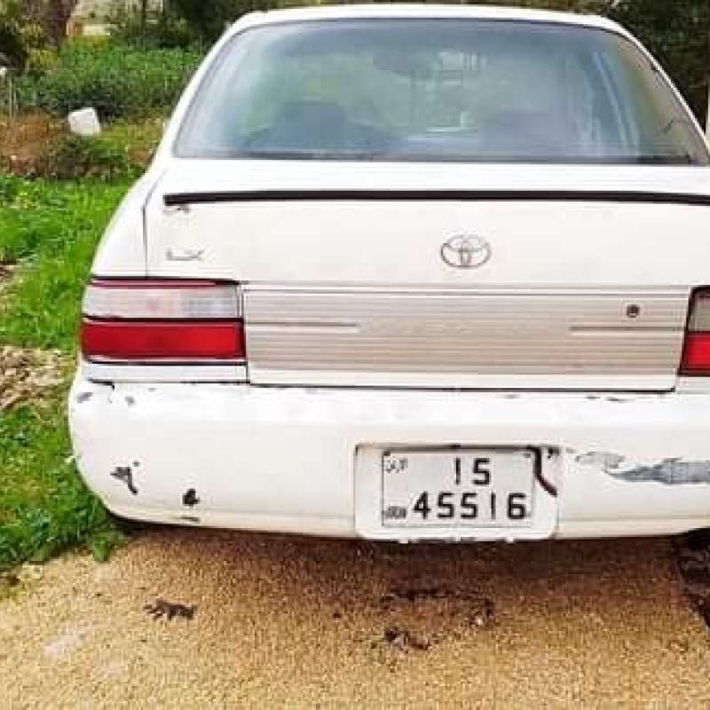 اربد الأغوار الشماليه