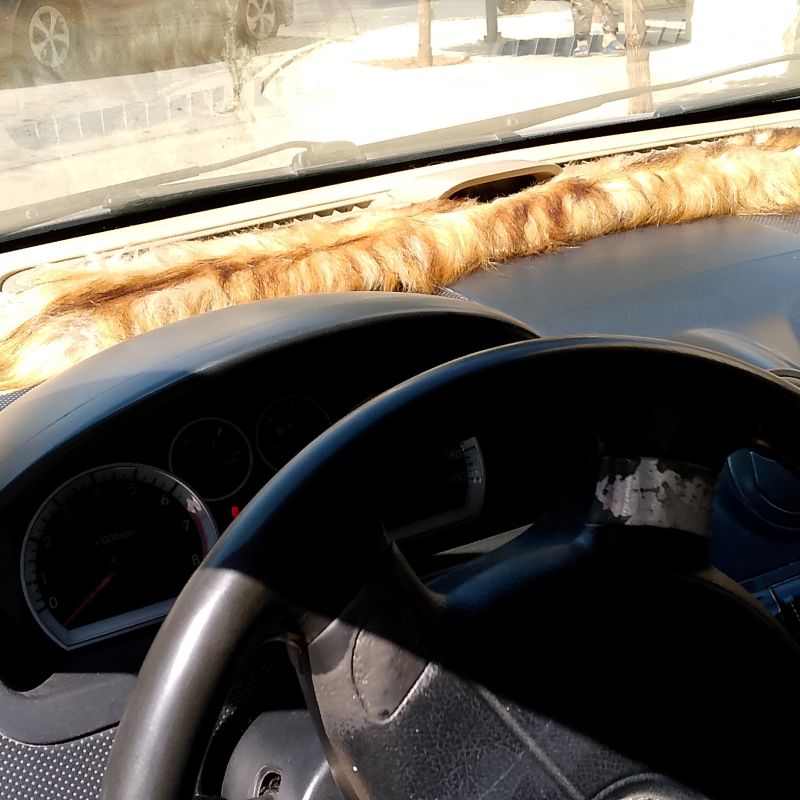 سيارة شفر وليت