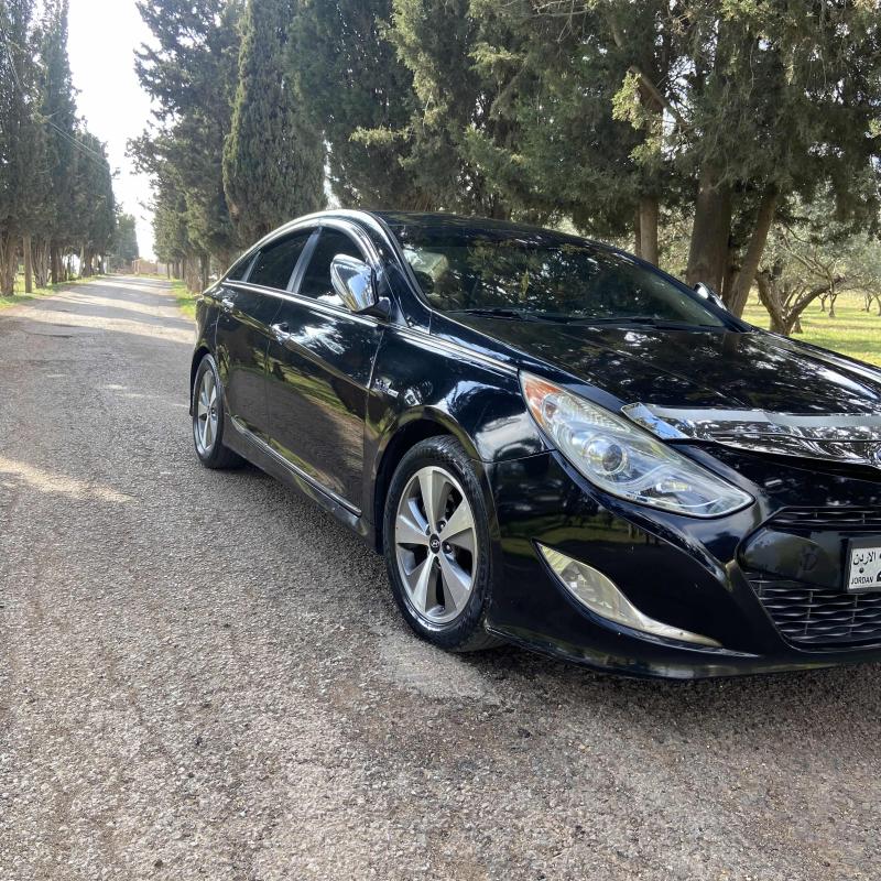 البيادر