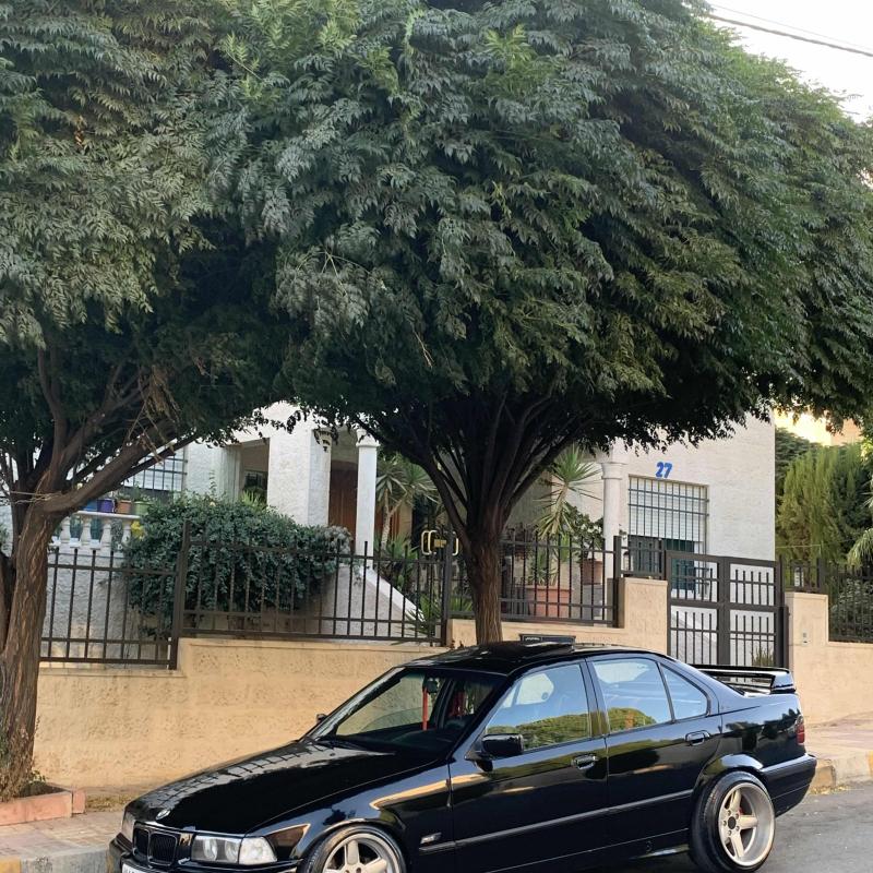Bmw e36 1994