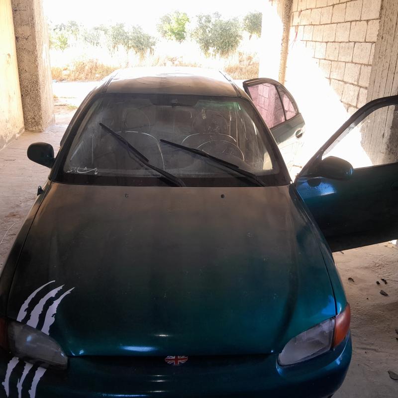 بليلا جرش