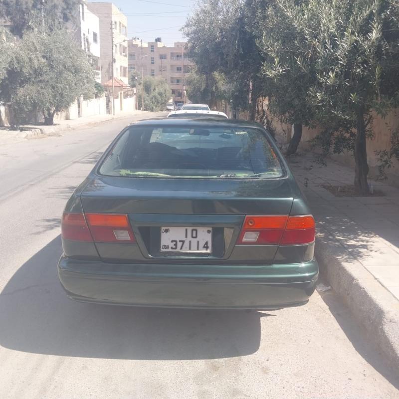 الزرقاء