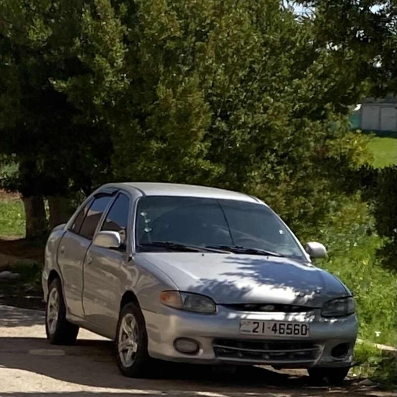 اكسنت 1999 قصة الدب