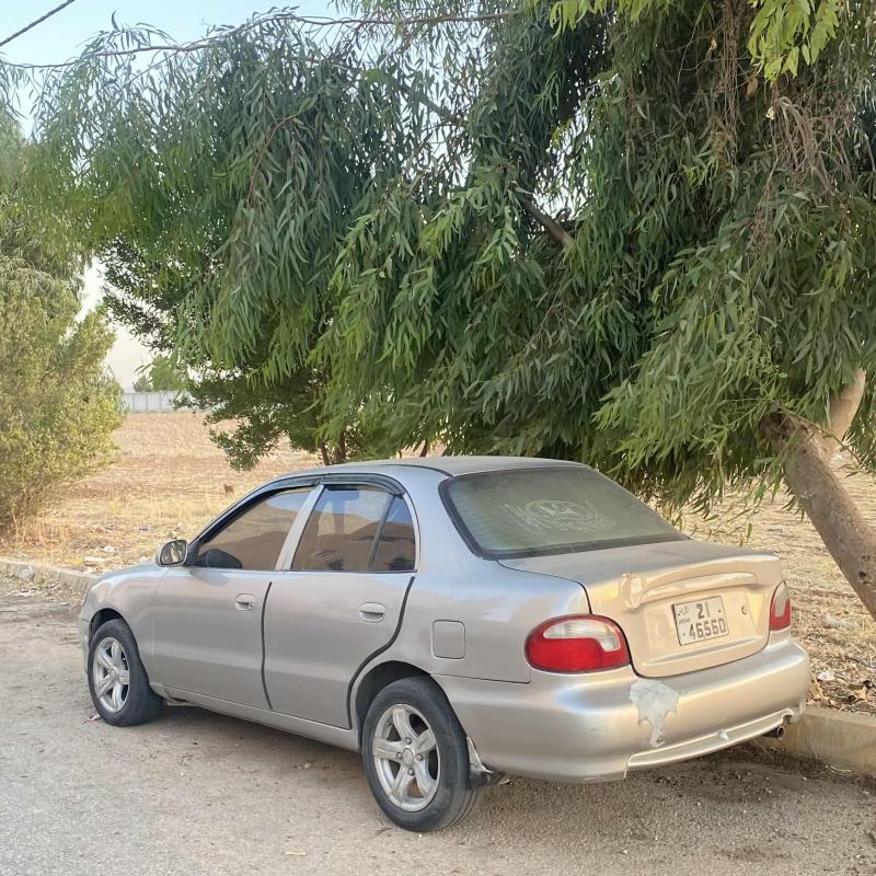 اكسنت 1999 قصة الدب